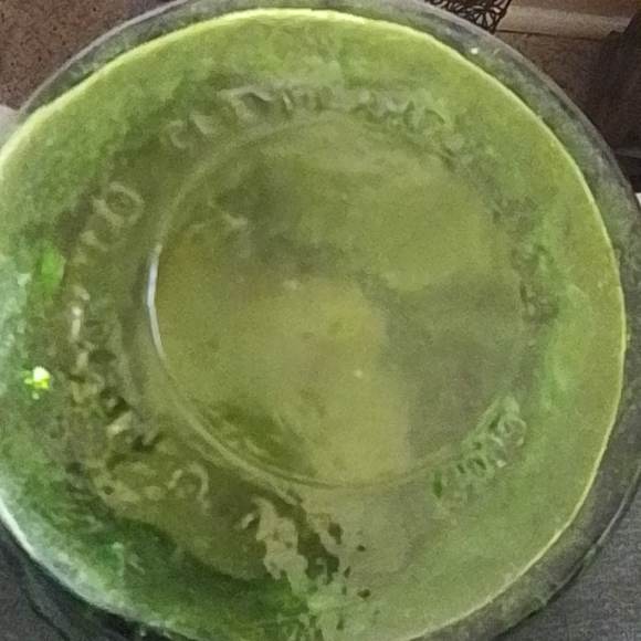 VTG E.O BRODY GREEN CRINKLE VASE - Picture 3 of 4